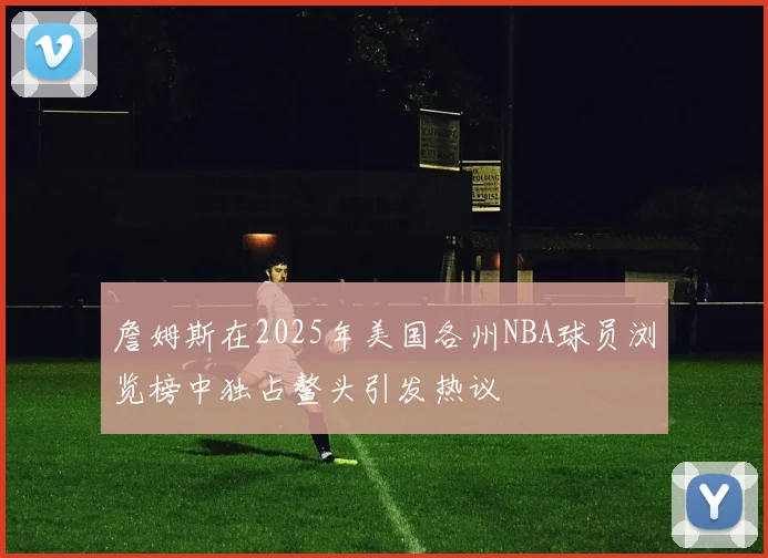 詹姆斯在2025年美国各州NBA球员浏览榜中独占鳌头引发热议